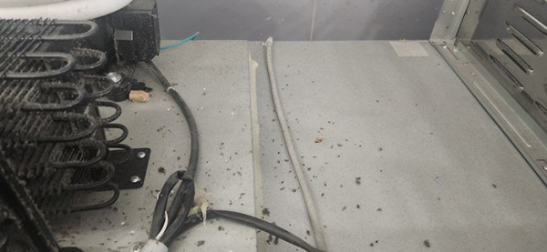 6a67f7467199e78e352c6cf100ca4e5d_1755577 6a67f7467199e78e352c6cf100ca4e5d_1755577